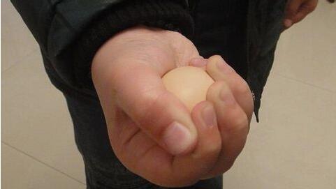 ���x�u��