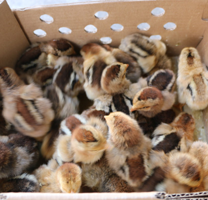 ����882�u��