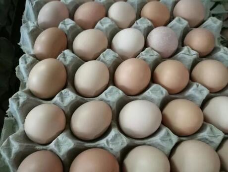 �����ݘI(y��)�����u����